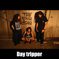Day tripper