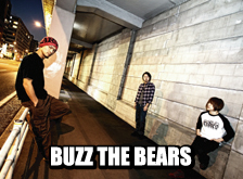 BUZZ THE BEARS
