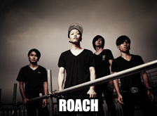 roach